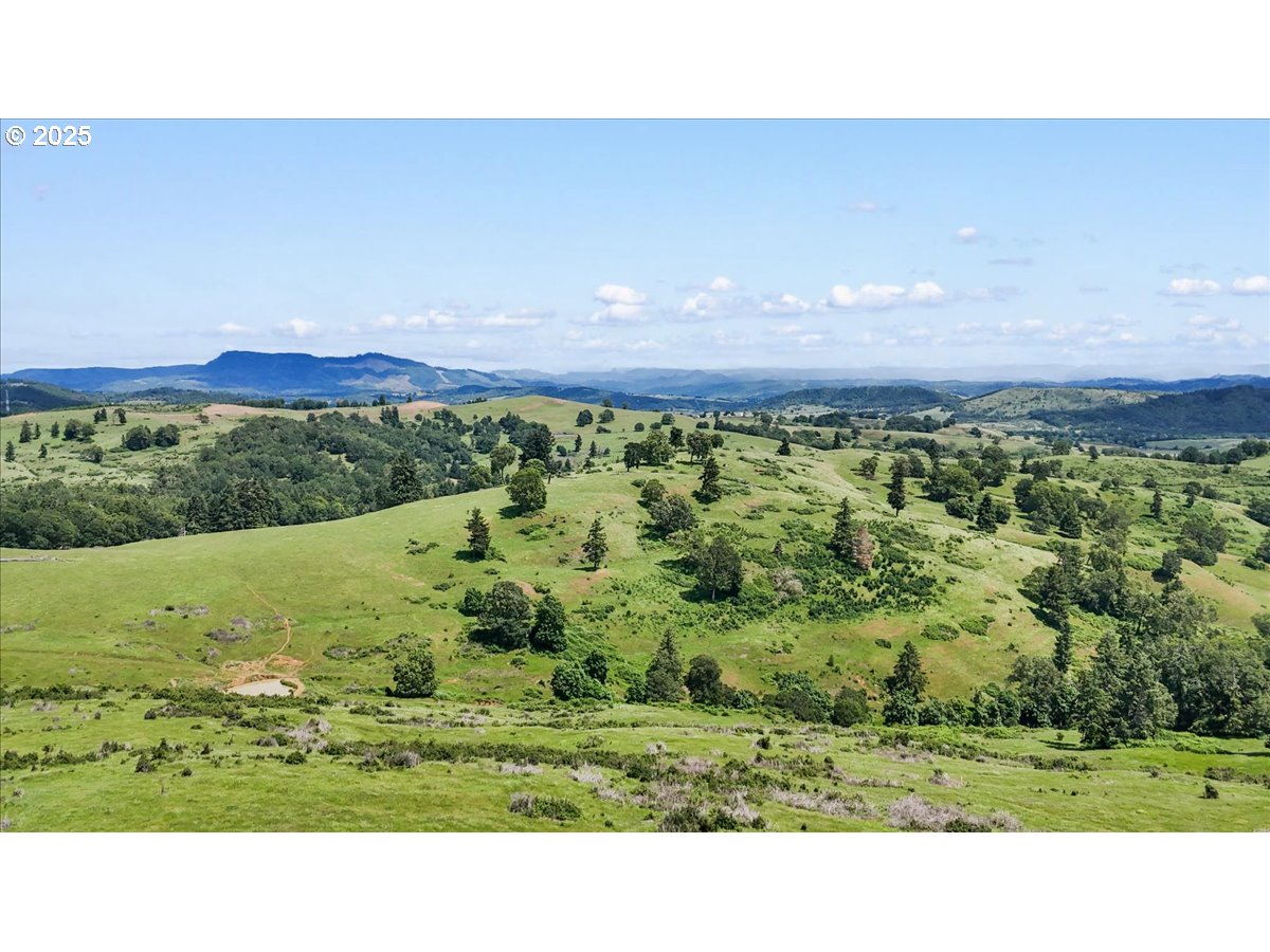 331 Metz Hill Road Oakland, OR 97462 - Photo 9 of 47