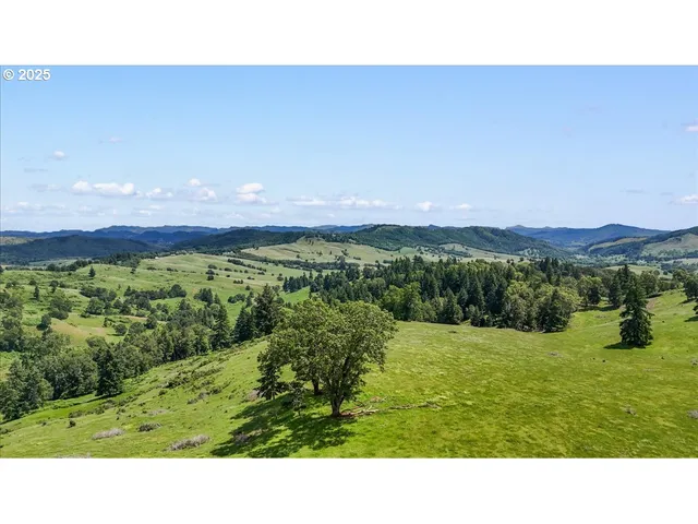 a open area with grassy field and trees