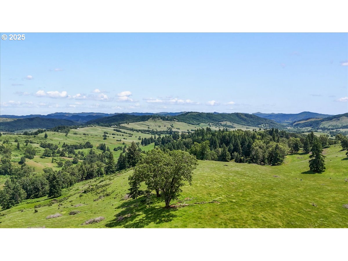 331 Metz Hill Road Oakland, OR 97462 - Photo 10 of 47