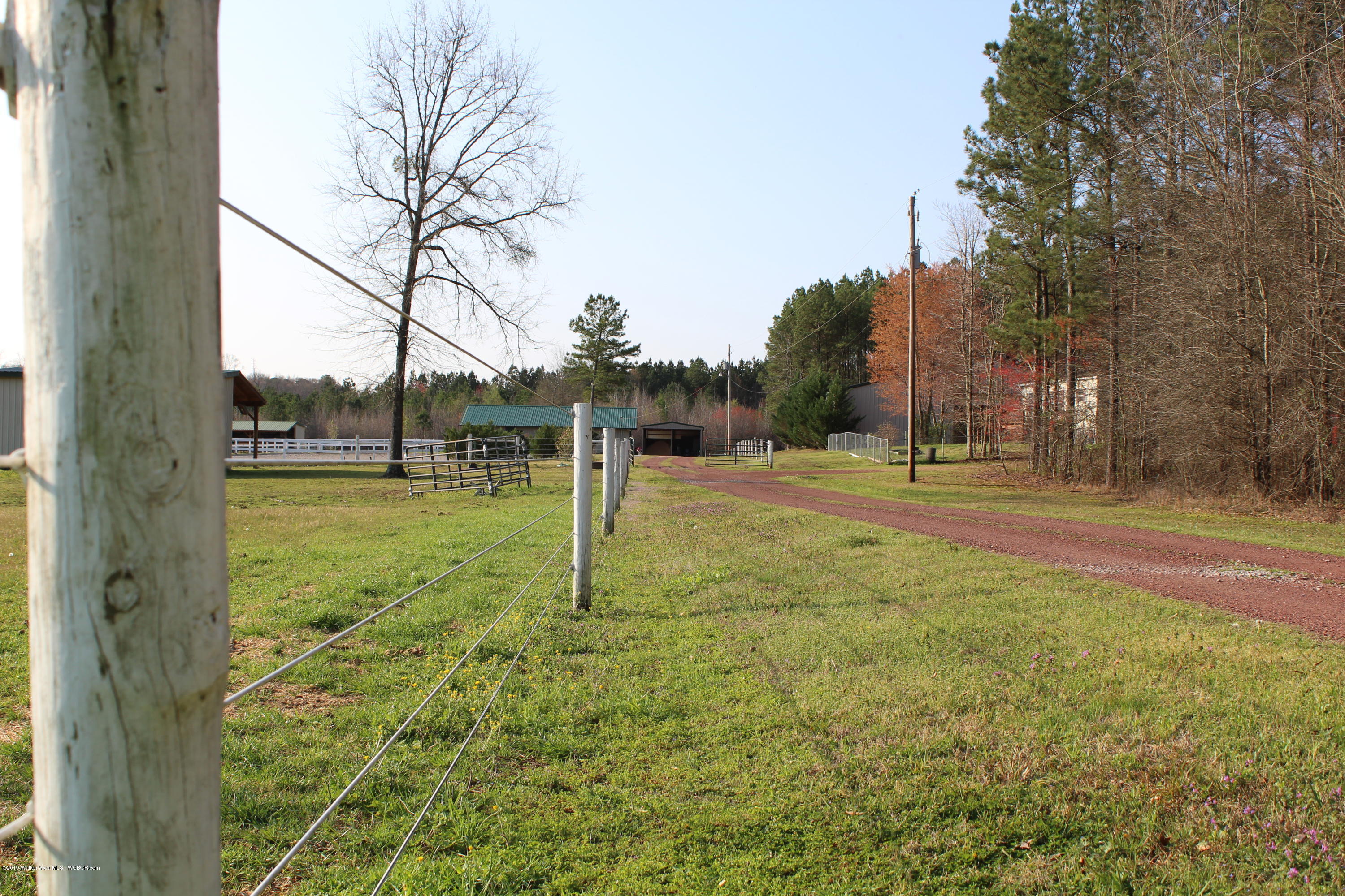 141 Allen Road Nauvoo, AL 35578 - Photo 17 of 17 Gallery Image 17