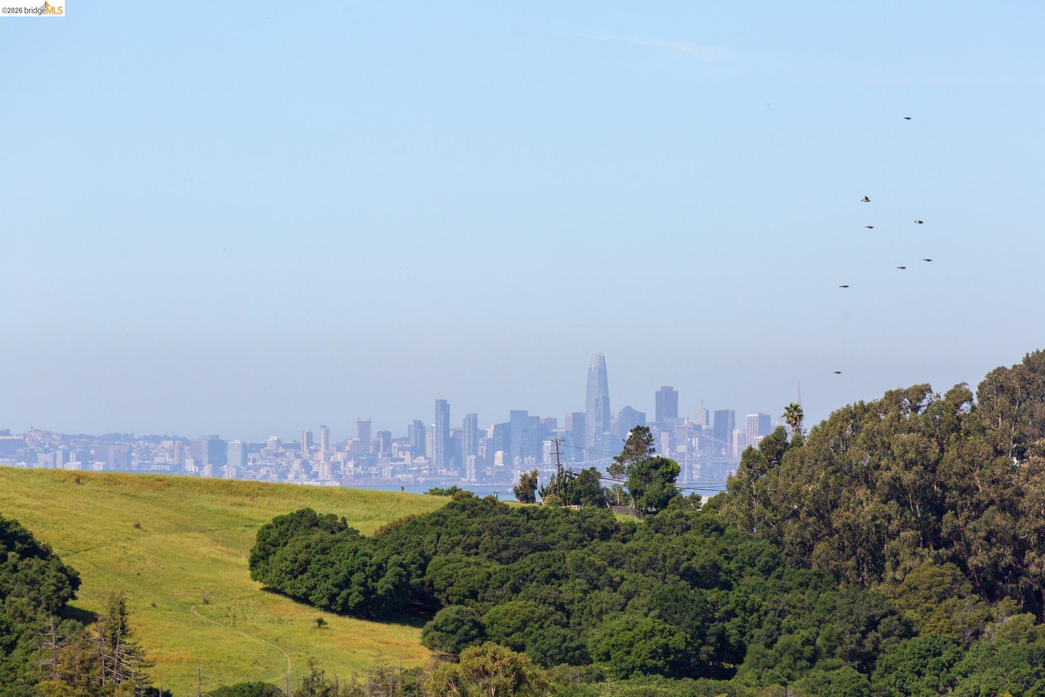 4451 St Andrews Road Oakland, CA 94605 - Photo 1 of 60