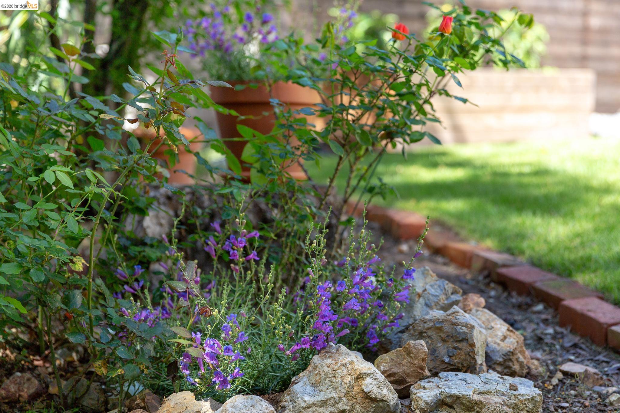 4451 St Andrews Road Oakland, CA 94605 - Photo 53 of 60