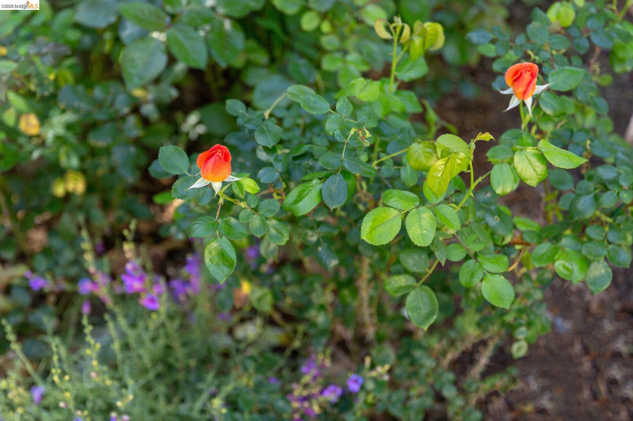 4451 St Andrews Road Oakland, CA 94605 - Photo 54 of 60