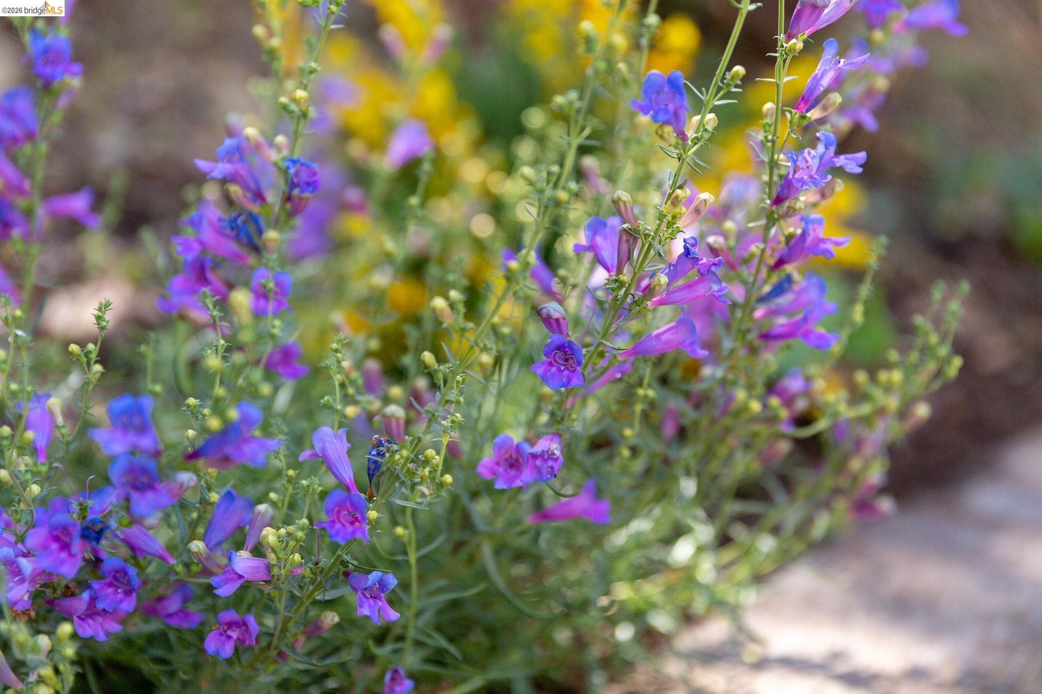 4451 St Andrews Road Oakland, CA 94605 - Photo 55 of 60