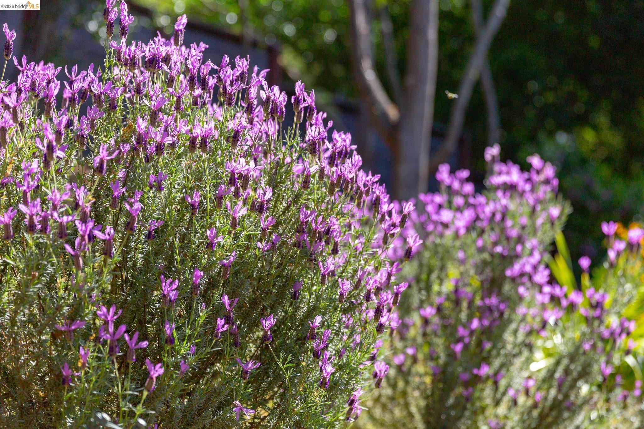 4451 St Andrews Road Oakland, CA 94605 - Photo 58 of 60