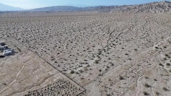 a view of a dry yard