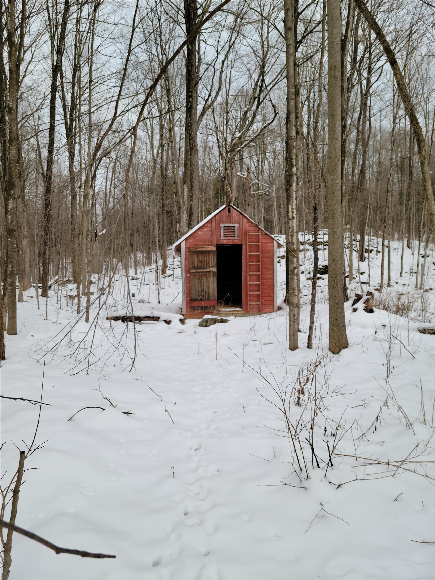 1912 West Shore Road Salisbury, VT 05769 - Photo 7 of 25 Gallery Image 7
