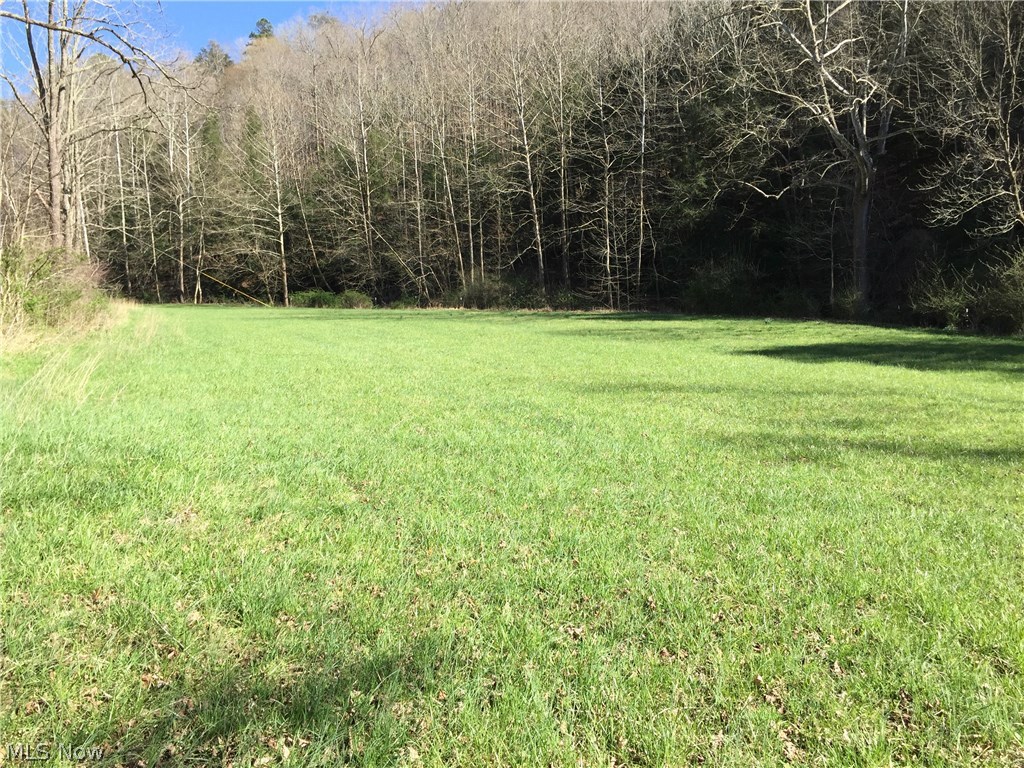 11057 Gillespie Run Road Petroleum, WV 26161 - Photo 5 of 10