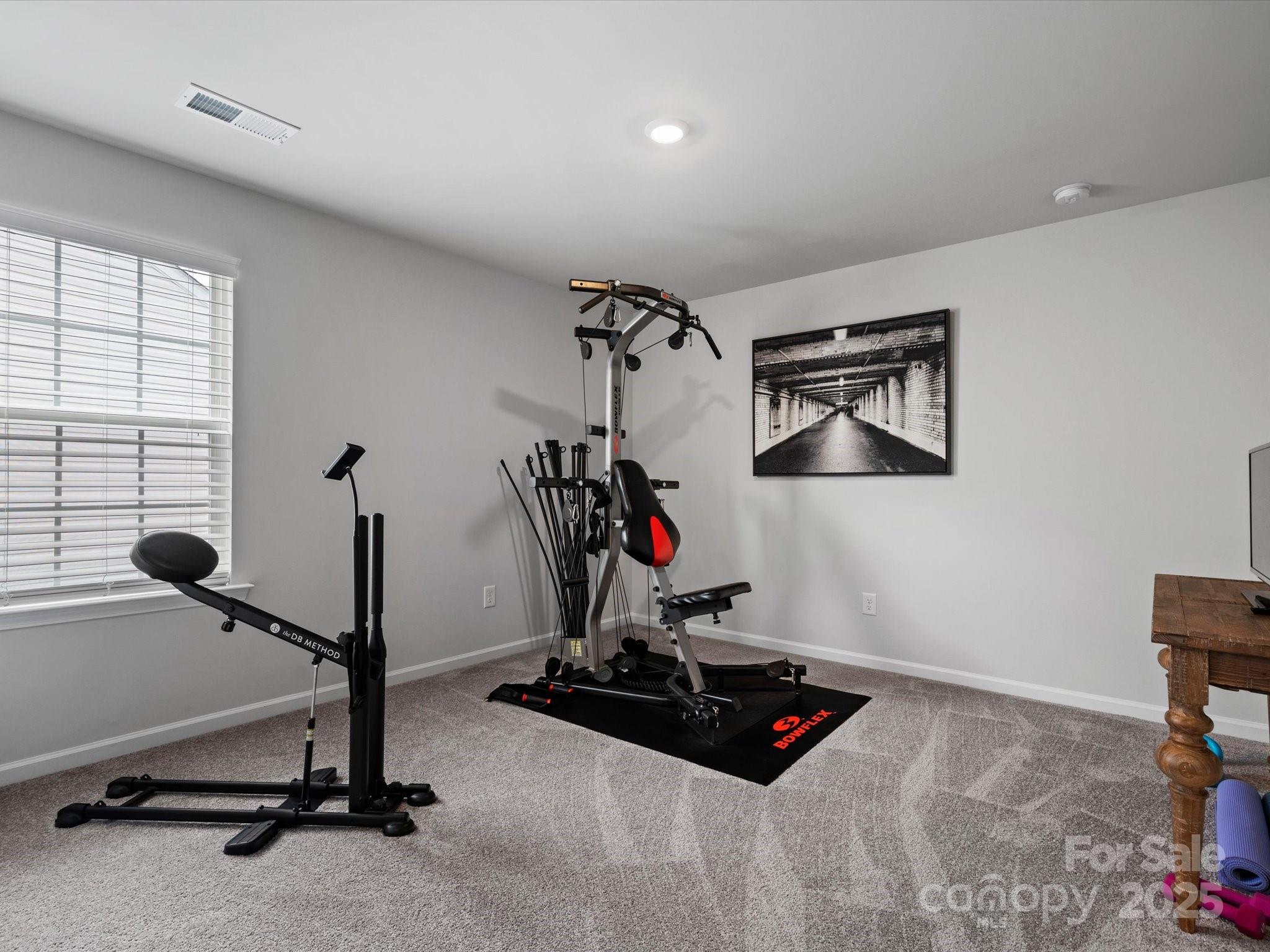 5581 Soft Shell Drive Lancaster, SC 29720 - Photo 44 of 48 a room with gym equipment and windows