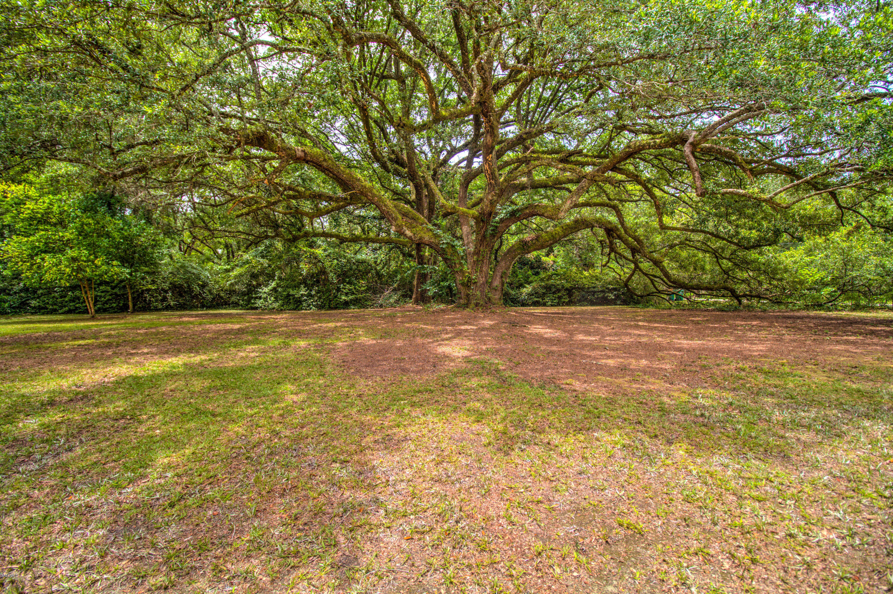 15230 Lorraine Road Biloxi, MS 39532 - Photo 39 of 47 IMG_4441_2_3