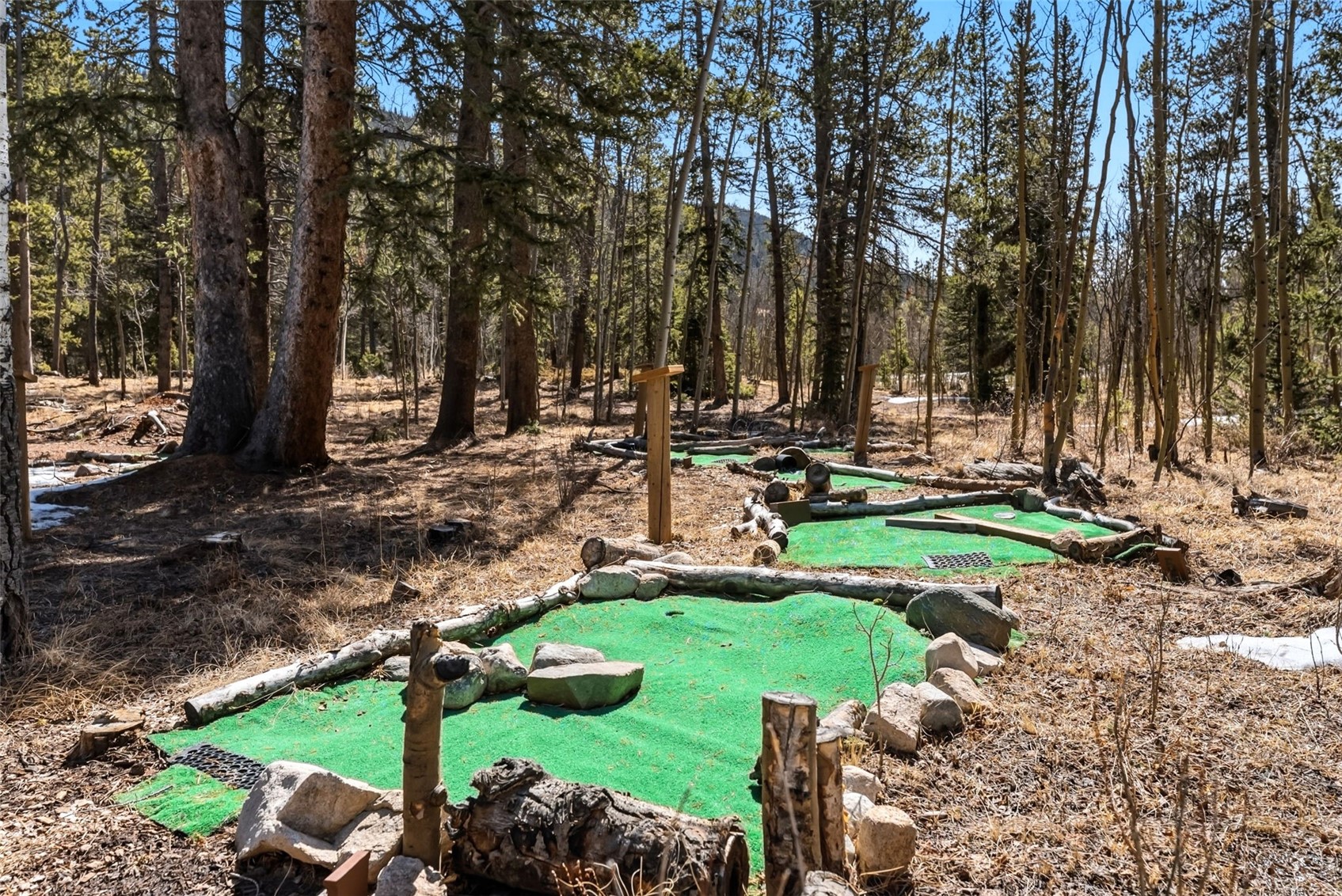 1227 Edgewood Road Alma, CO 80420 - Photo 33 of 39 9-Hole Mini Putt Putt