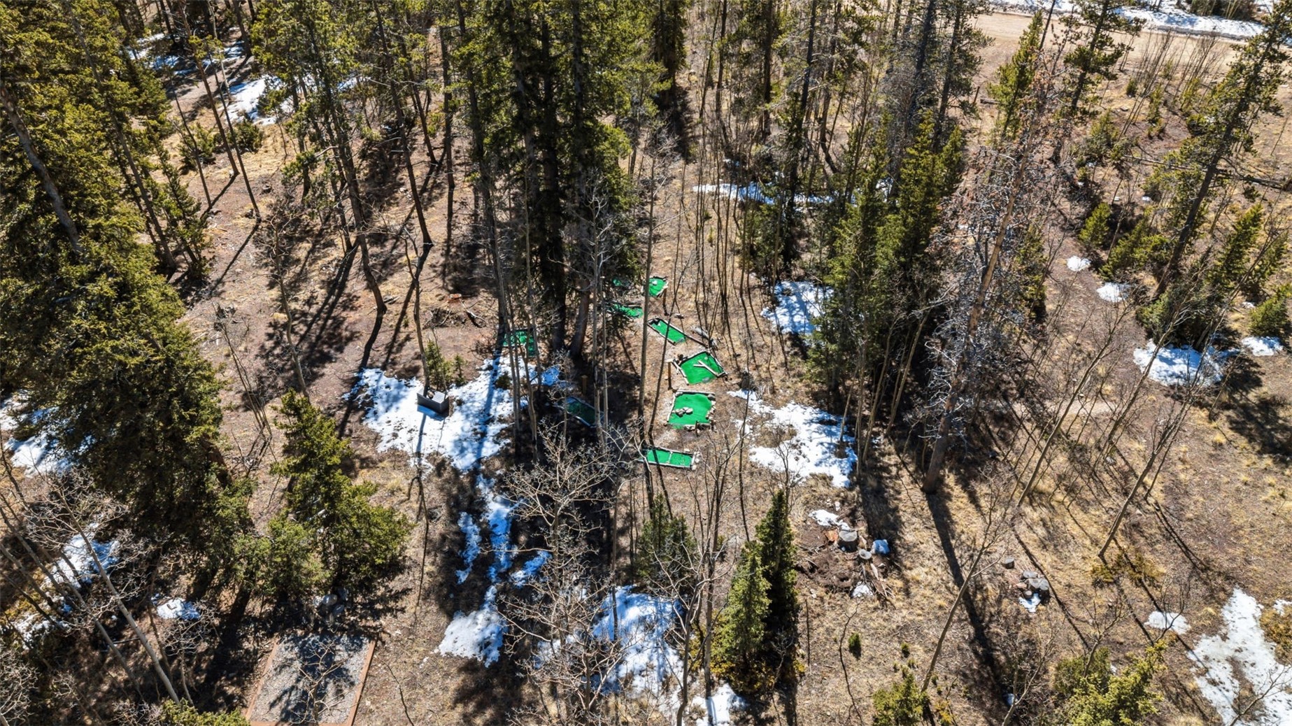 1227 Edgewood Road Alma, CO 80420 - Photo 34 of 39 9-Hole Mini Putt Putt