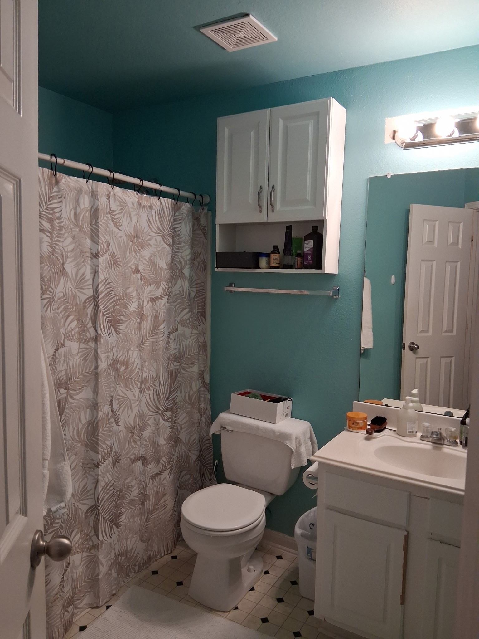 9607 Rads Point Sugar Land, TX 77498 - Photo 22 of 24 a bathroom with a sink and a toilet