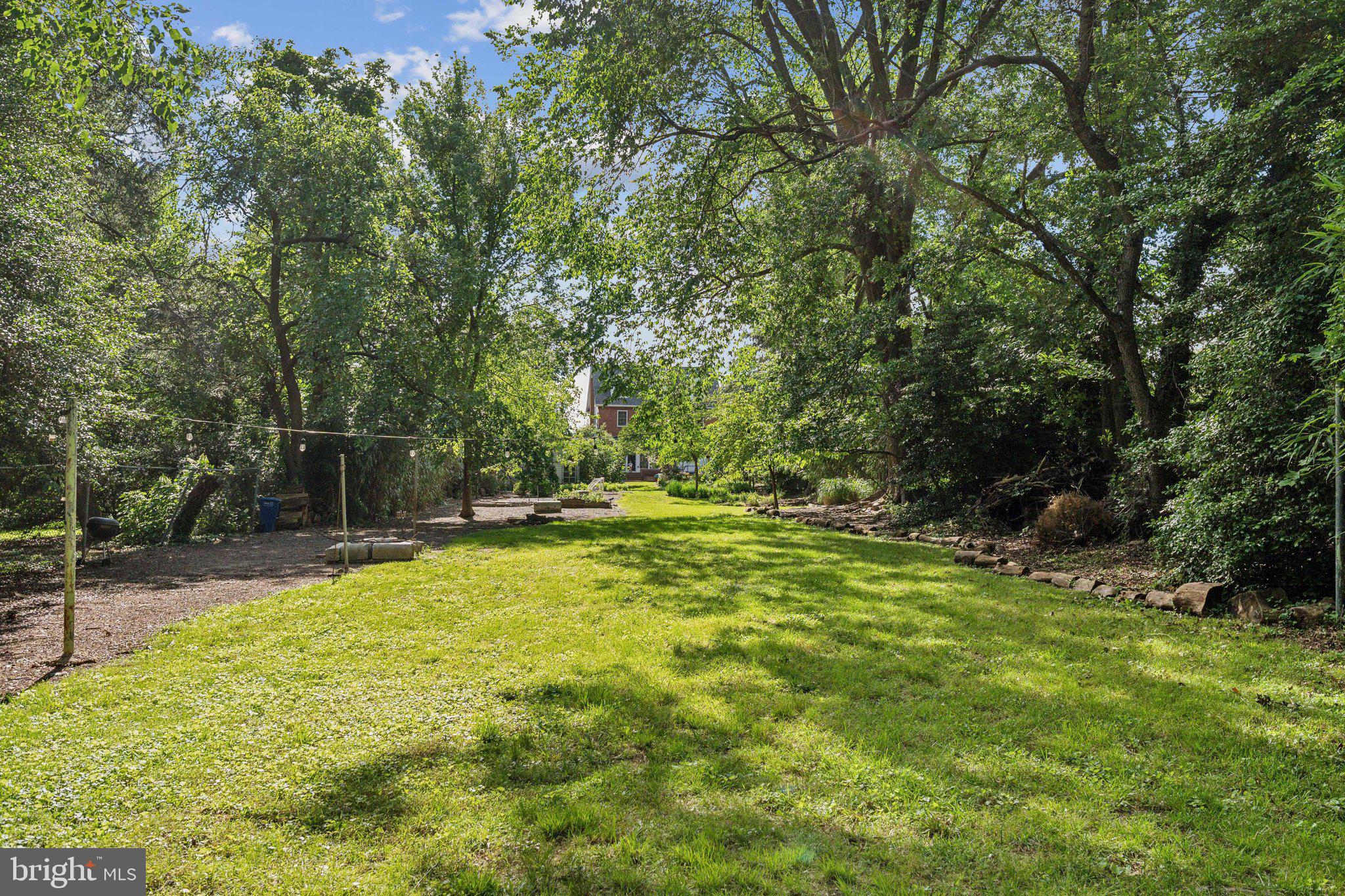 7401 Blair Road Northwest Washington, DC 20012 - Photo 36 of 42 a yard with a trees