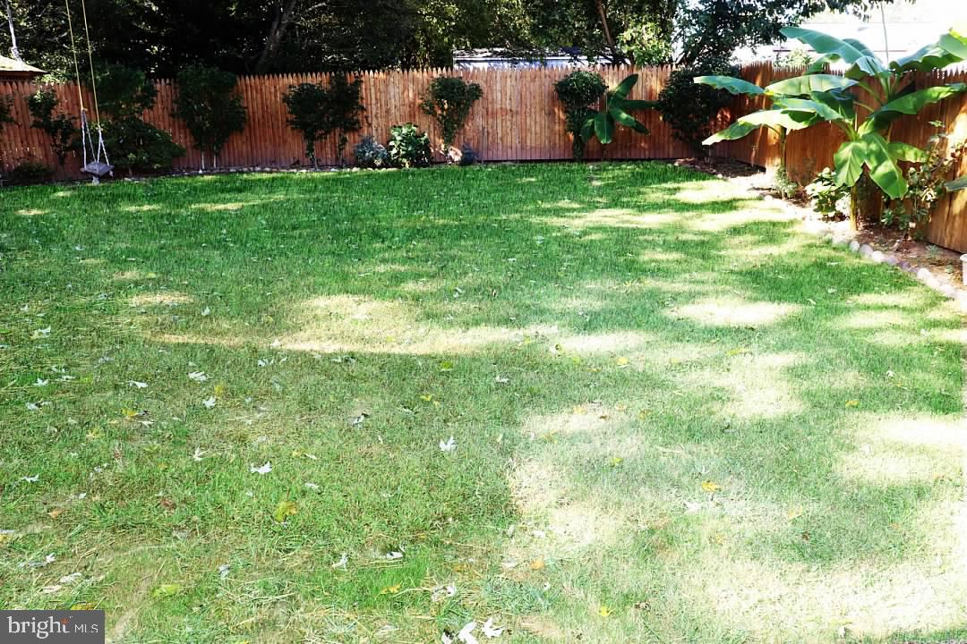 12232 Bluhill Road Silver Spring, MD 20902 - Photo 45 of 48 Fenced Back Yard