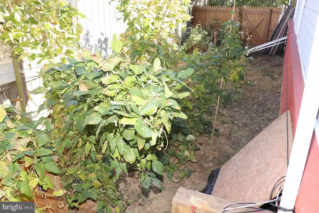 12232 Bluhill Road Silver Spring, MD 20902 - Photo 46 of 48 Vegetable Garden