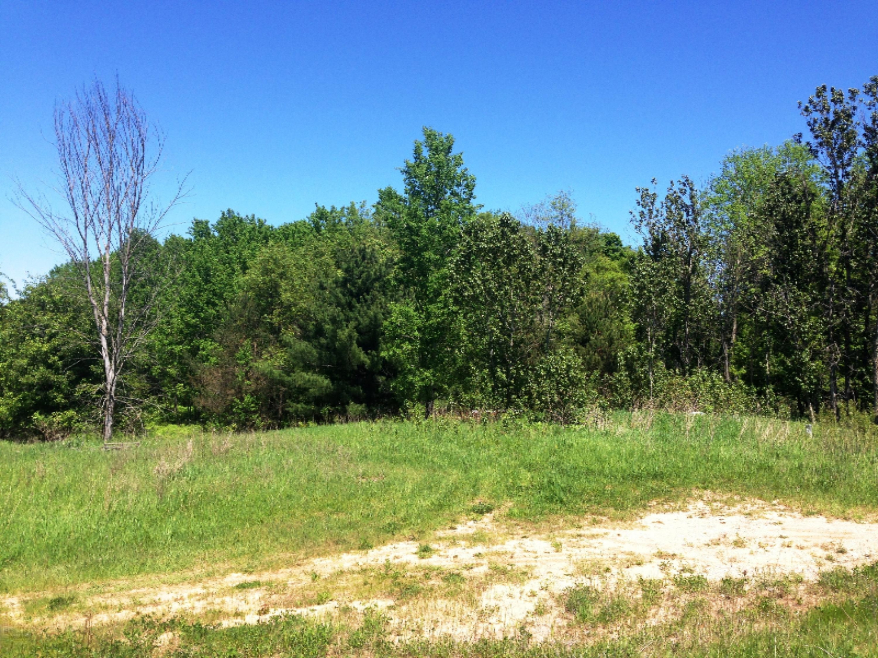 8618 South 230th Avenue Reed City, MI 49677 - Photo 3 of 8 IMG_0929