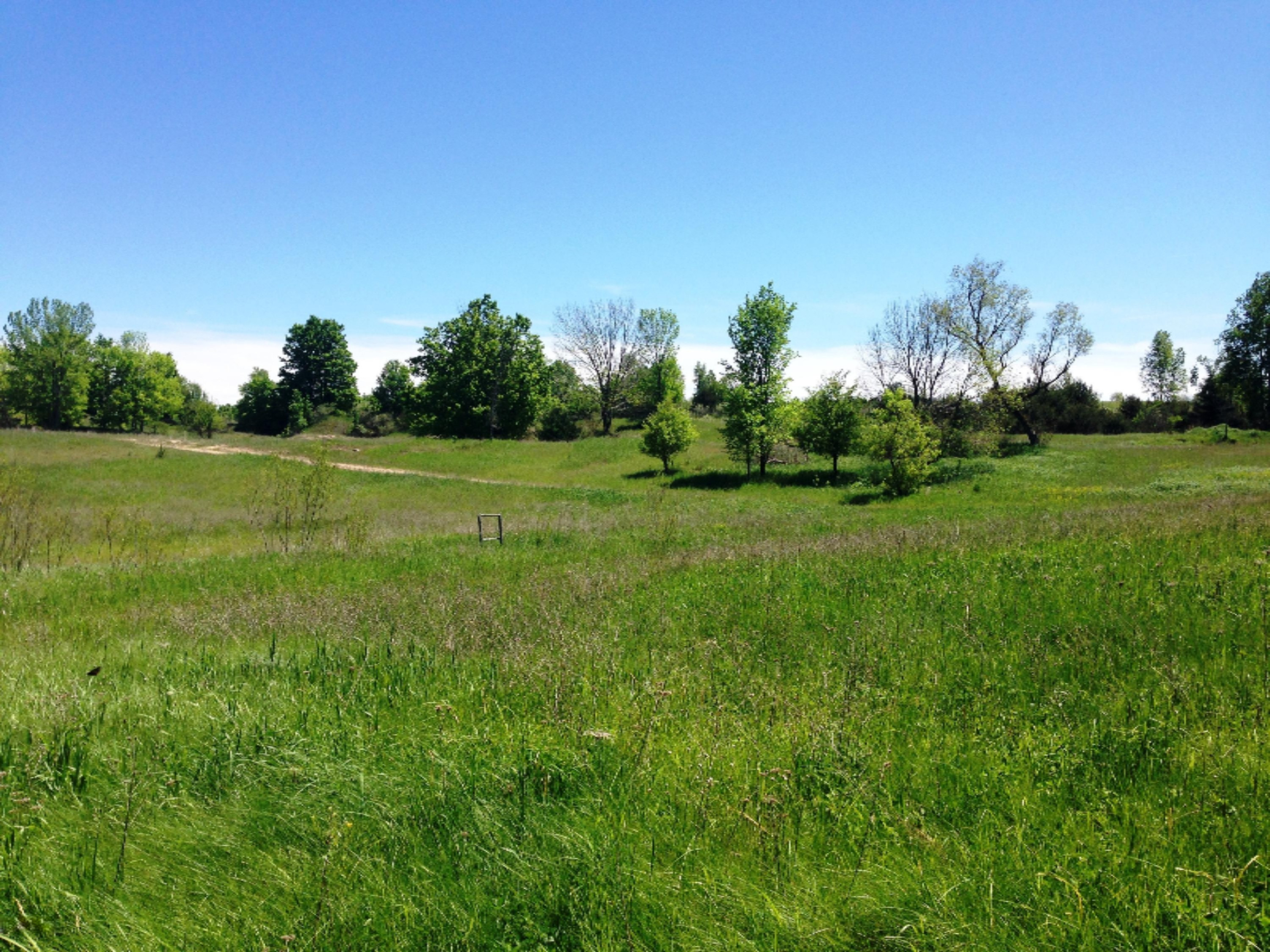 8618 South 230th Avenue Reed City, MI 49677 - Photo 4 of 8 IMG_0930