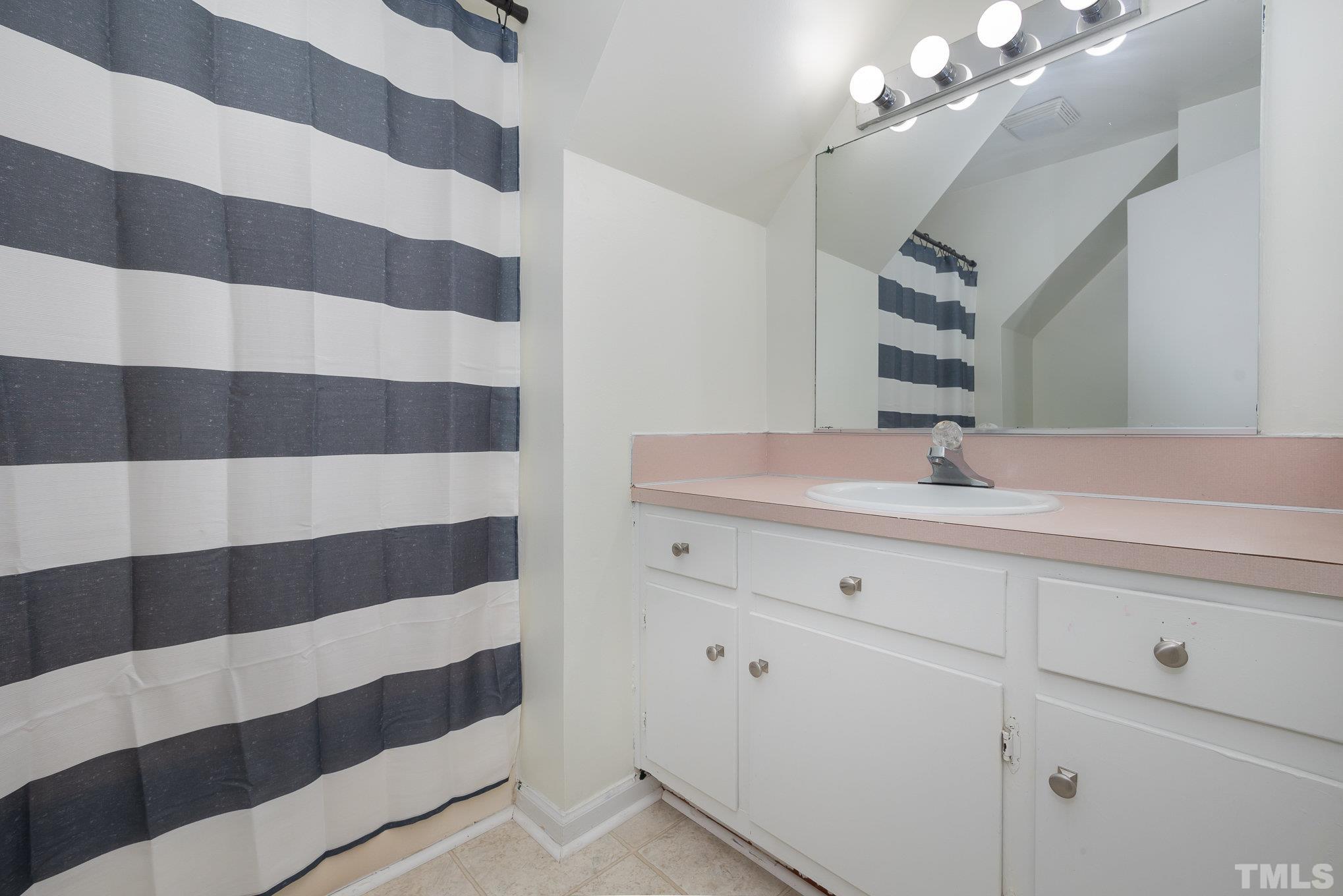 2411 Wade Hampton Road Hillsborough, NC 27278 - Photo 9 of 21 a bathroom with a sink and a mirror