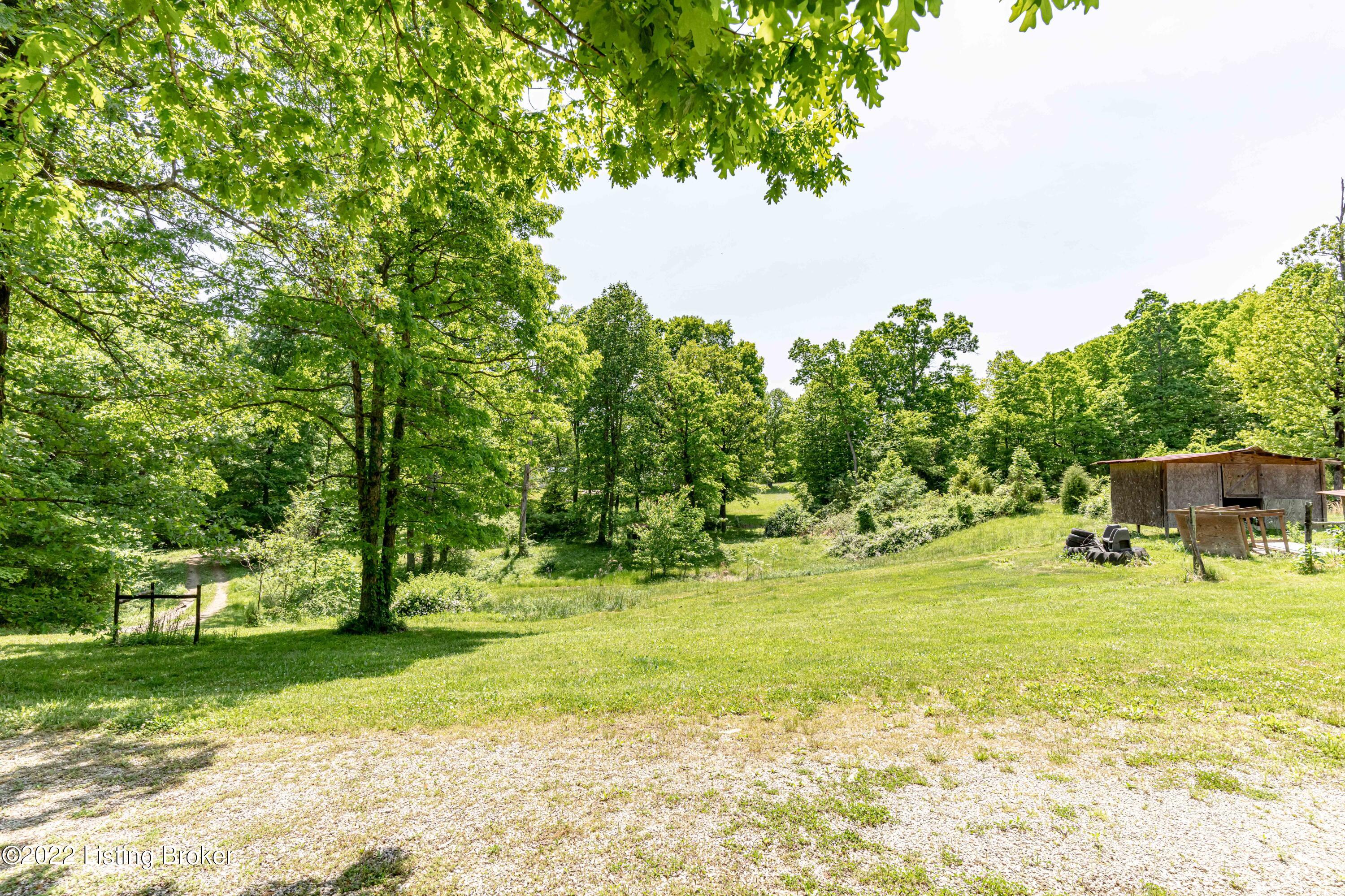 6512 Bowling Green Road Caneyville, KY 42721 - Photo 73 of 116 DSC07763