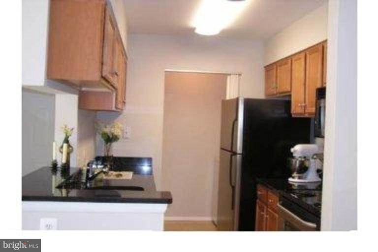 1732 Ascot Way, Unit 1732E Reston, VA 20190 - Photo 5 of 8 Kitchen #3