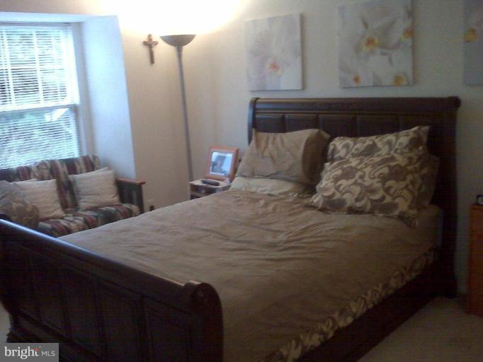 1732 Ascot Way, Unit 1732E Reston, VA 20190 - Photo 6 of 8 Master Bedroom