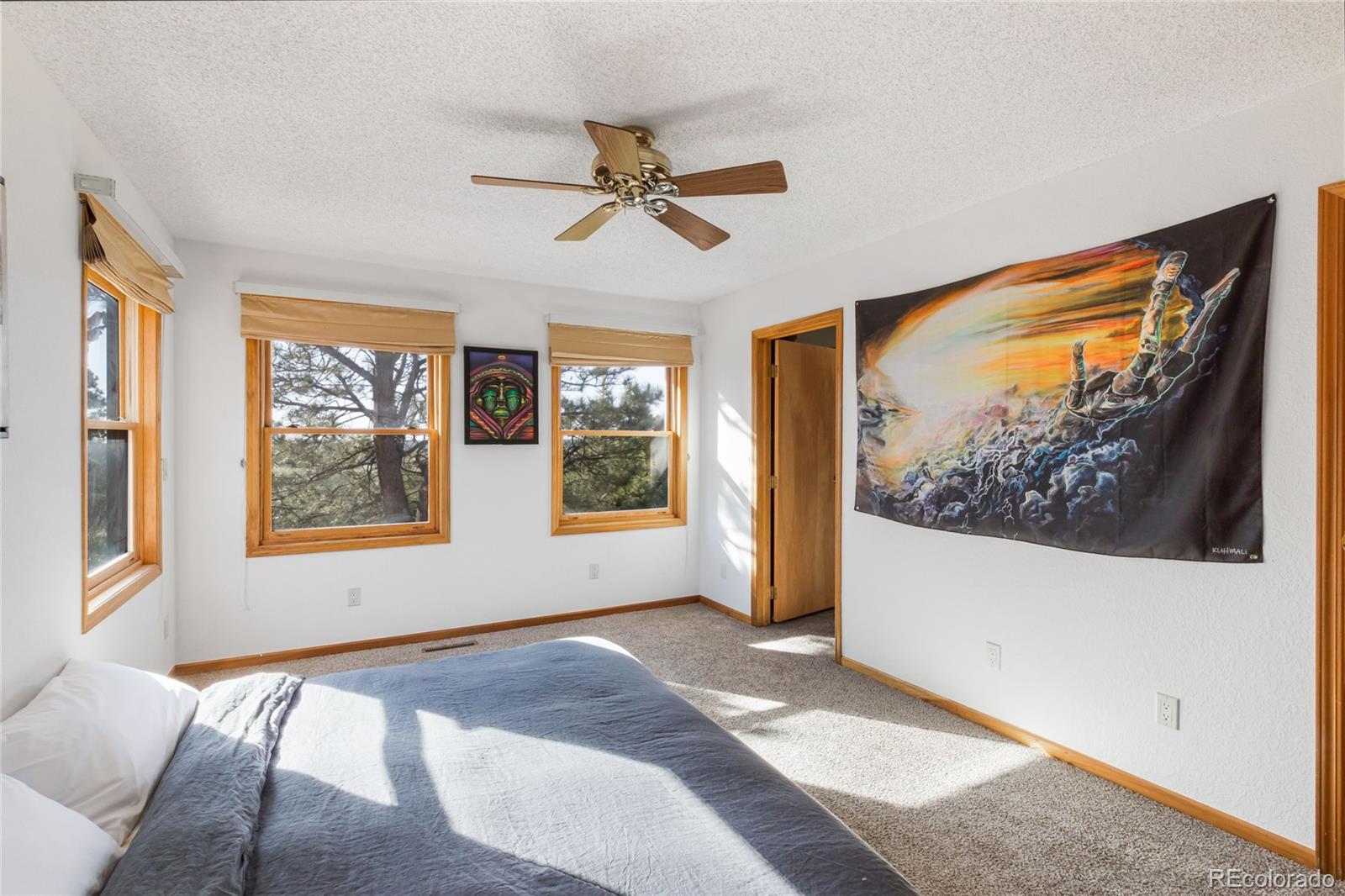 18673 North Elbert Road Elbert, CO 80106 - Photo 9 of 22 Gallery Image 9