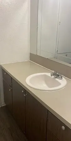 a bathroom with a sink and a mirror