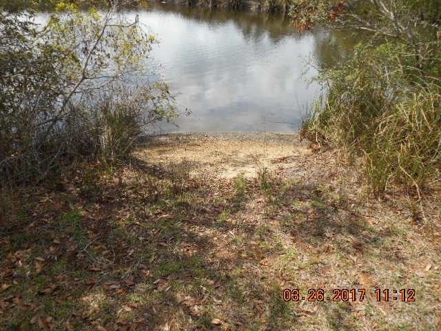 370 Riola Place Pensacola, FL 32506 - Photo 9 of 33 Gallery Image 9