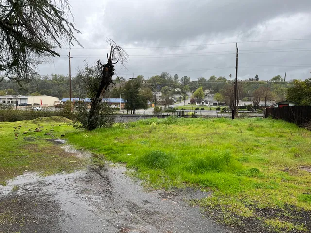 a view of a lake with a big yard and potted plants