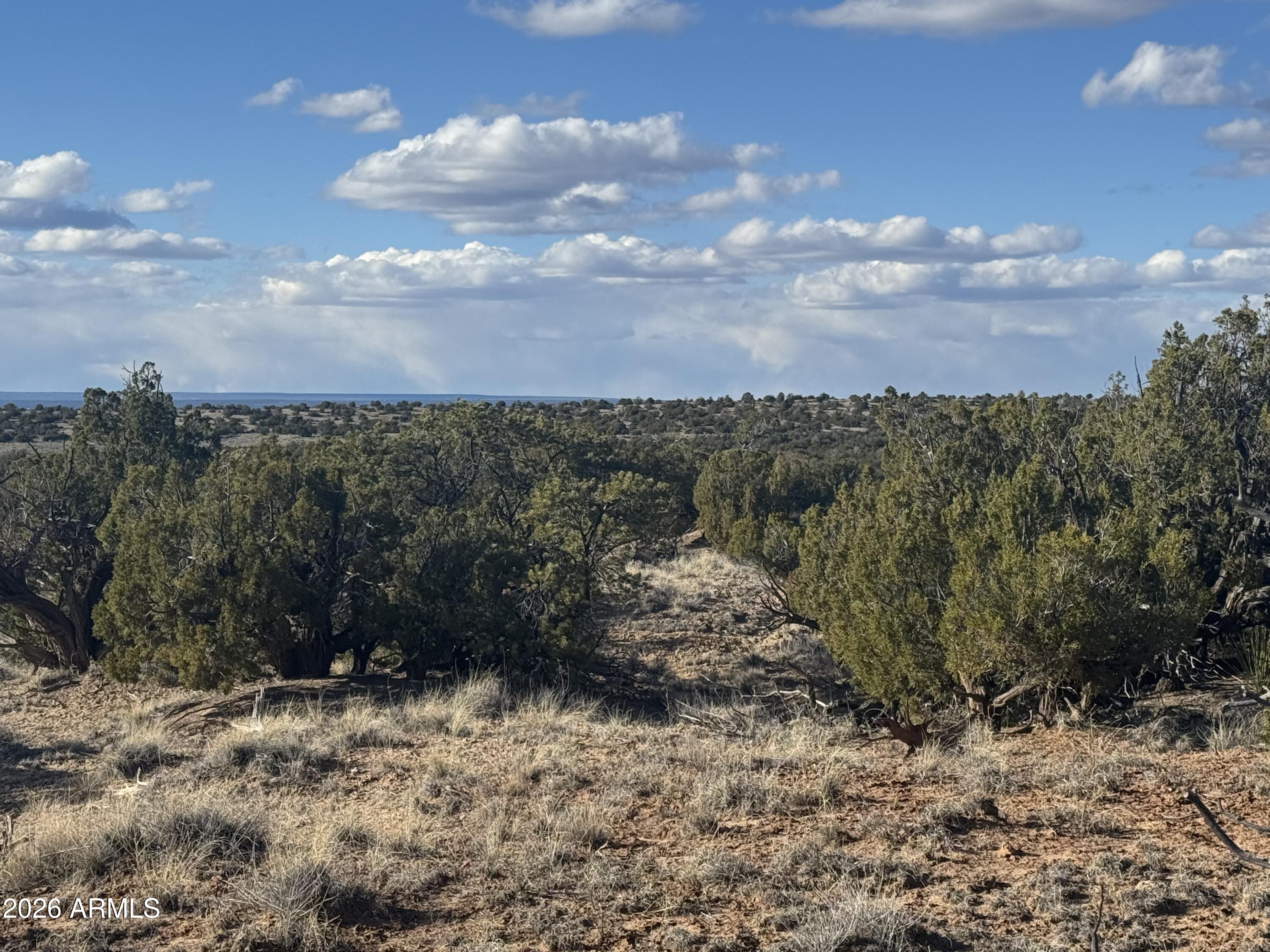 Lot 93 Red Sky Ranch, Unit 93 St. Johns, AZ 85936 - Photo 7 of 15 a view of a yard