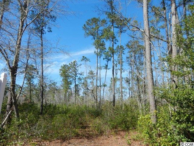 Lot 9 Pineview Drive Loris, SC 29569 - Photo 5 of 6 Gallery Image 5