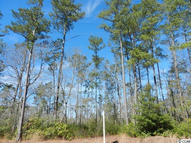 Lot 9 Pineview Drive Loris, SC 29569 - Photo 6 of 6 Gallery Image 6