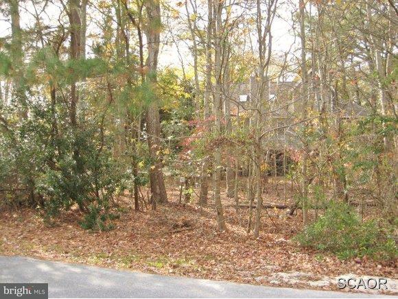 Periwinkle Road South Bethany, DE 19930 - Photo 1 of 1 Gallery Image 1
