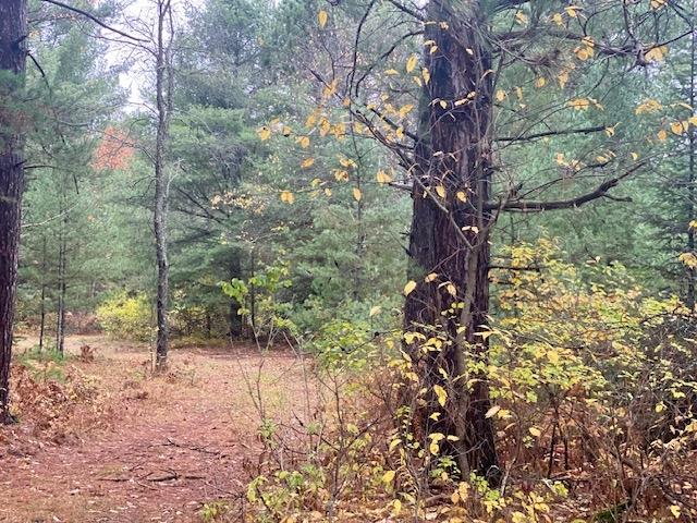 On Bloom Road Eagle River, WI 54521 - Photo 12 of 12 Gallery Image 12