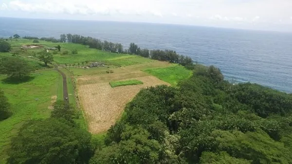 a view of a lake with a yard