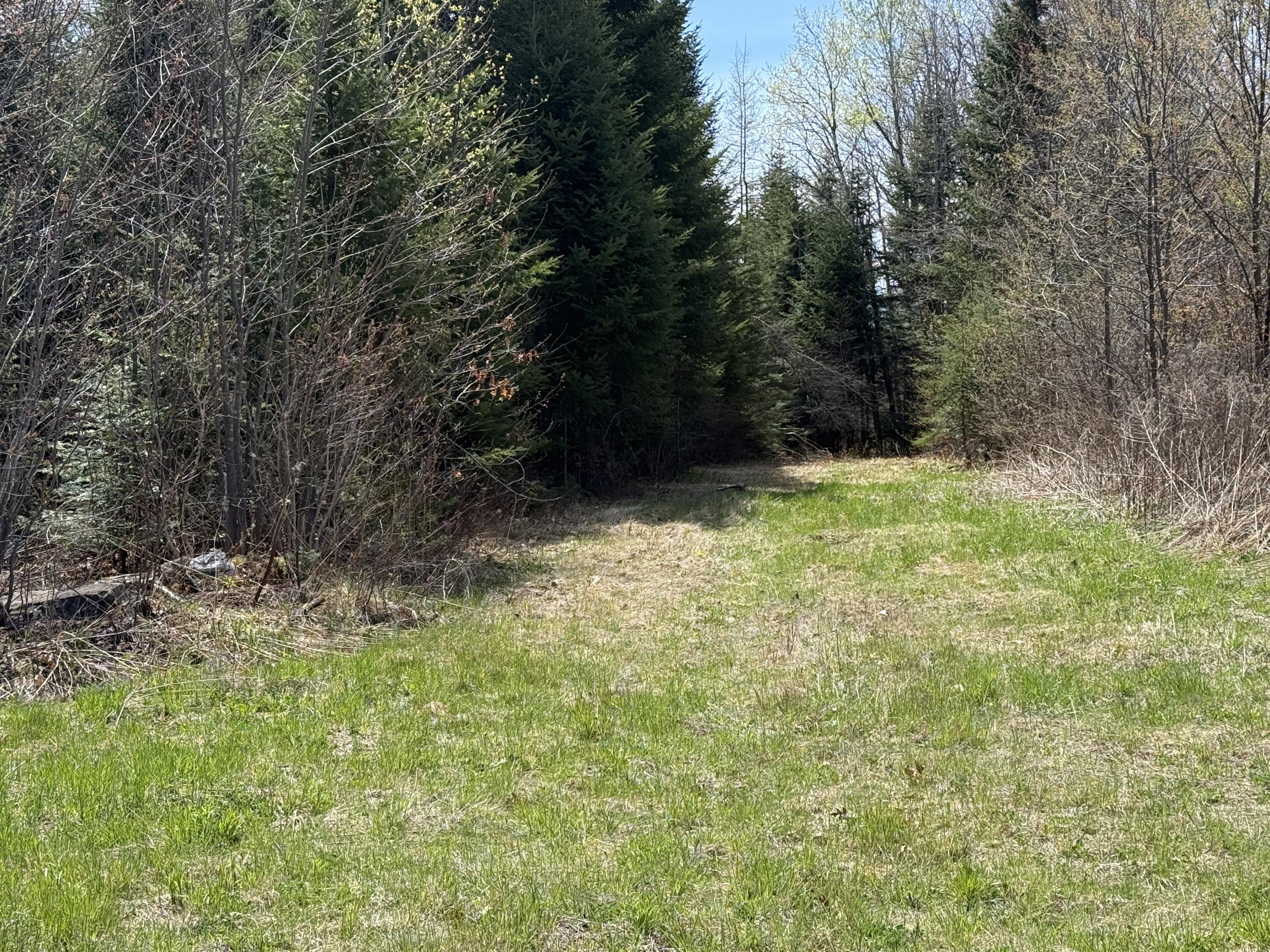 Lot 7 Wilcox Road Orient, ME 04471 - Photo 18 of 20 IMG_4013