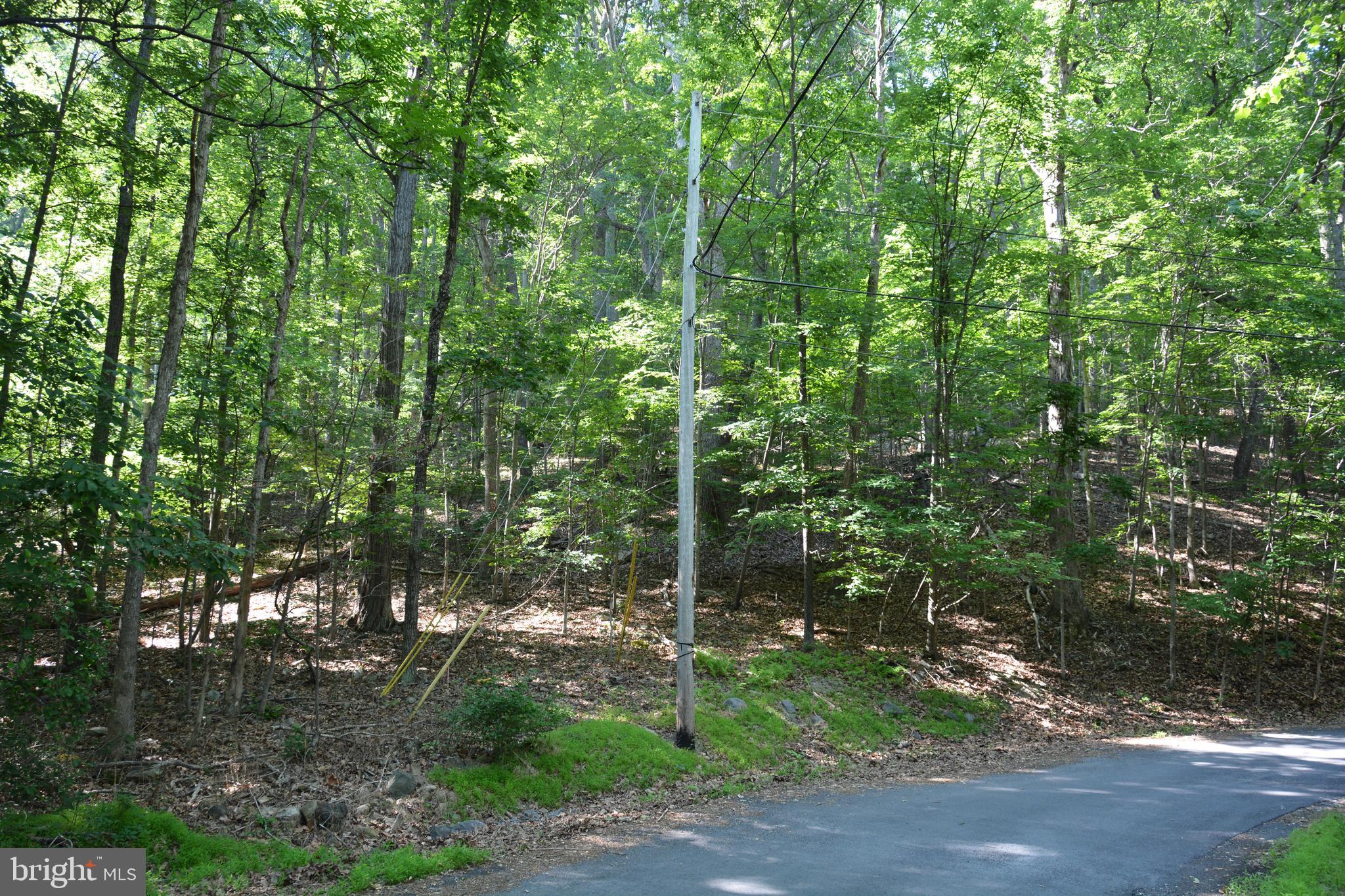 59 60 61 Baldwin Road Front Royal, VA 22630 - Photo 10 of 23