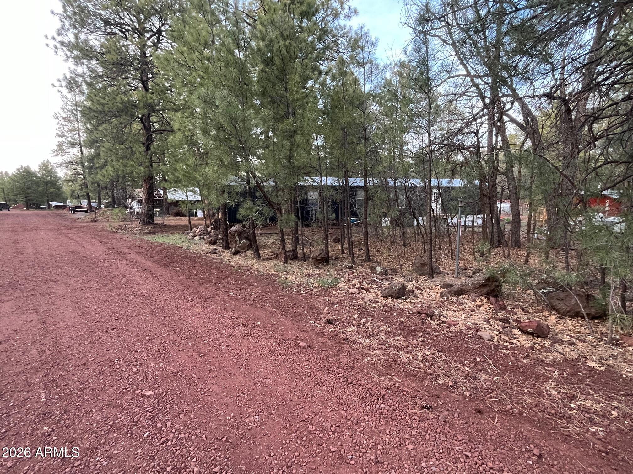 93 Erickson Street Parks, AZ 86005 - Photo 5 of 32 a view of a forest with trees