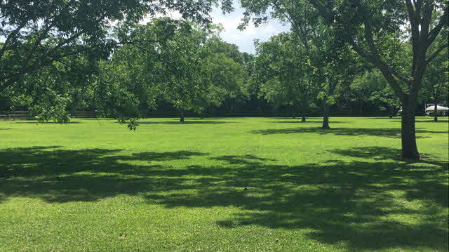 22681 River Road South Daphne, AL 36526 - Photo 19 of 45