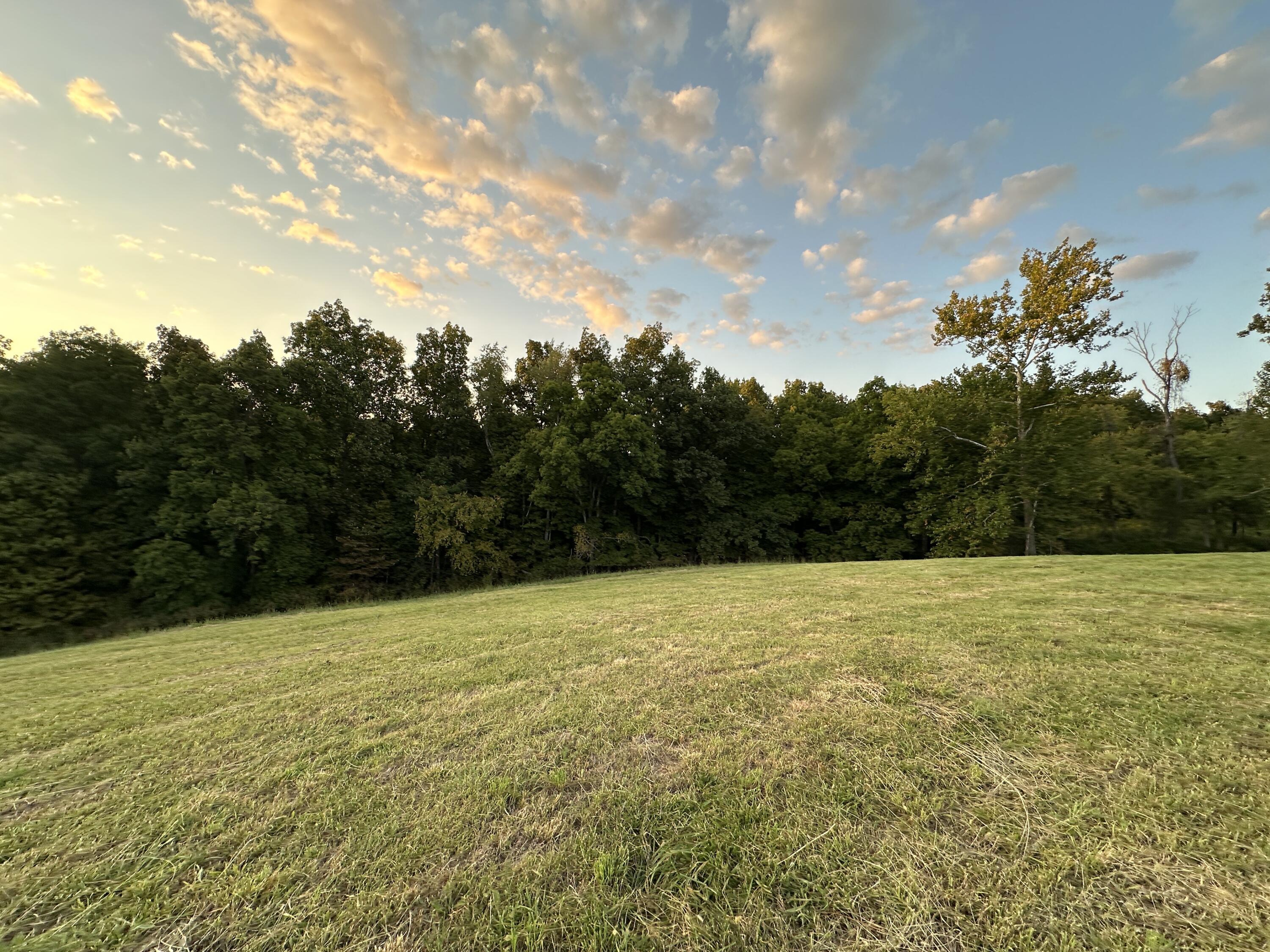719 Upper Lick Road Moorefield, KY 40350 - Photo 13 of 29 Field