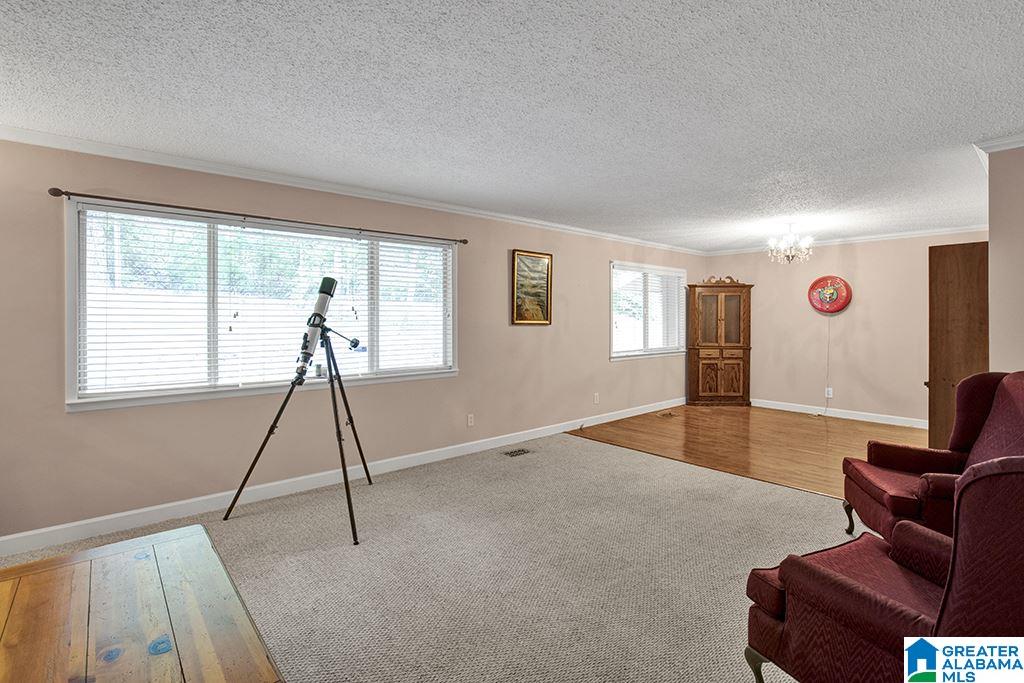 300 Greensport Road Ashville, AL 35953 - Photo 3 of 20