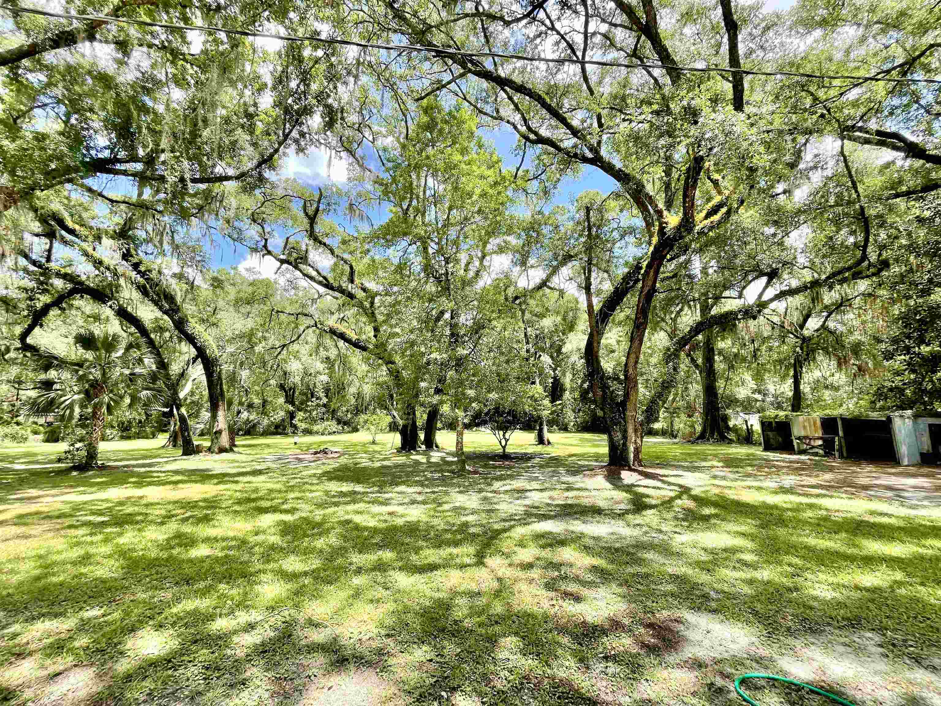 2256 Pisgah Road Perry, FL 32347 - Photo 2 of 6