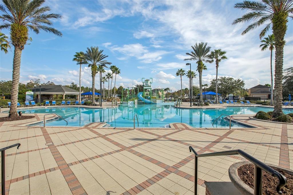 22162 Nebula Way Land O Lakes, FL 34637 - Photo 40 of 44 a view of swimming pool that has lawn chairs potted plants and palm trees