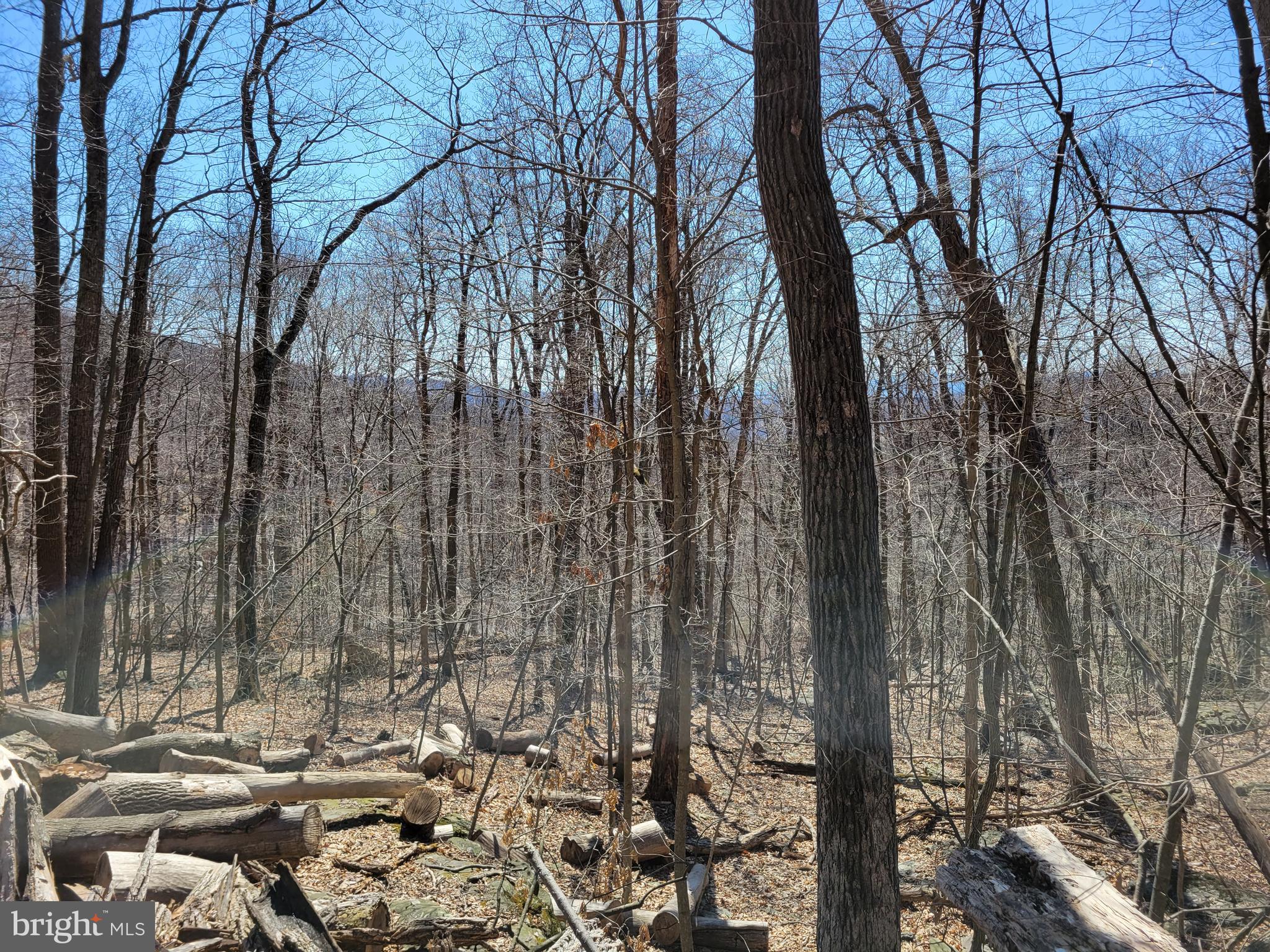 246-68 Middle Point Road Myersville, MD 21773 - Photo 2 of 5
