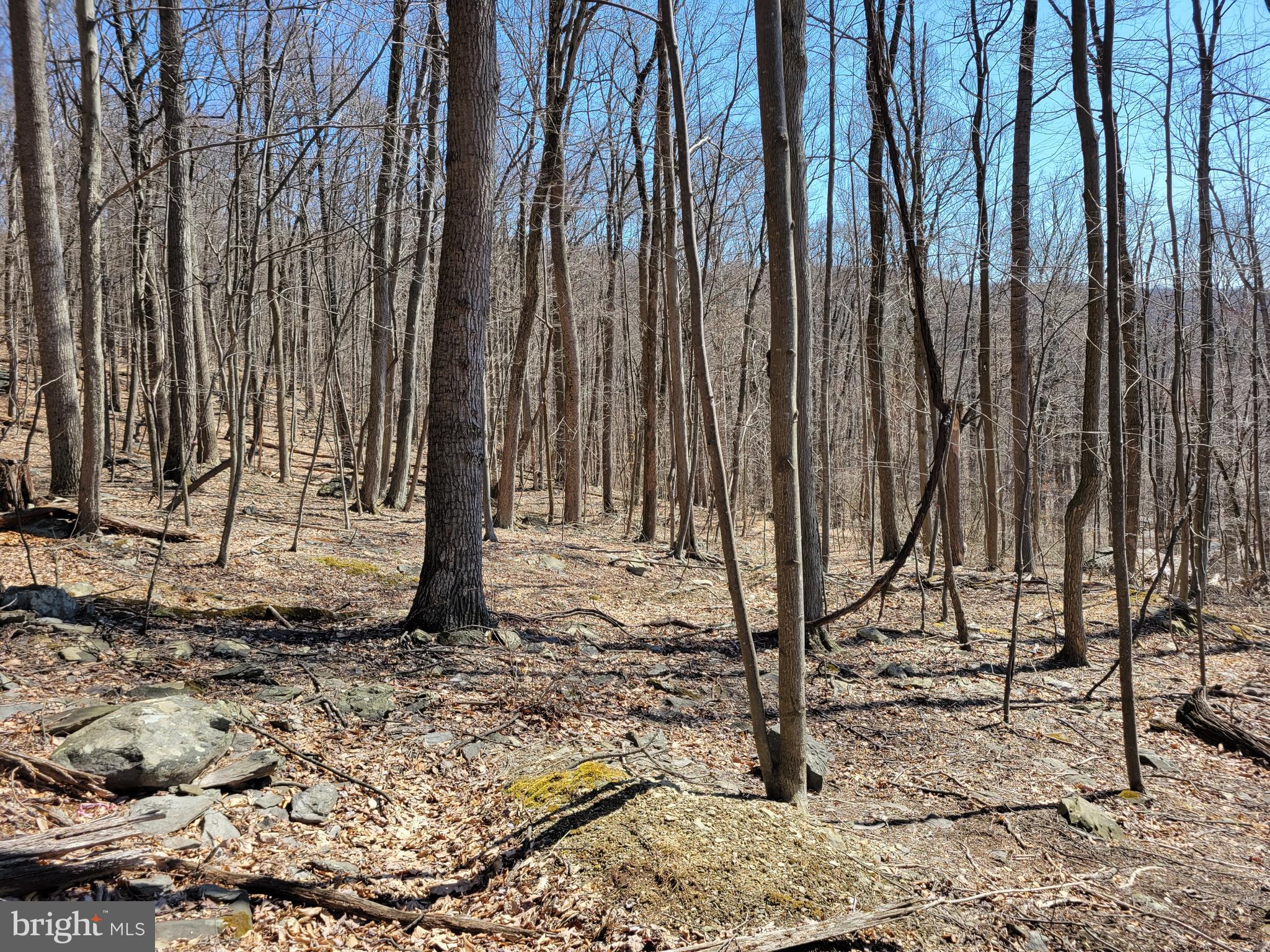 246-68 Middle Point Road Myersville, MD 21773 - Photo 3 of 5