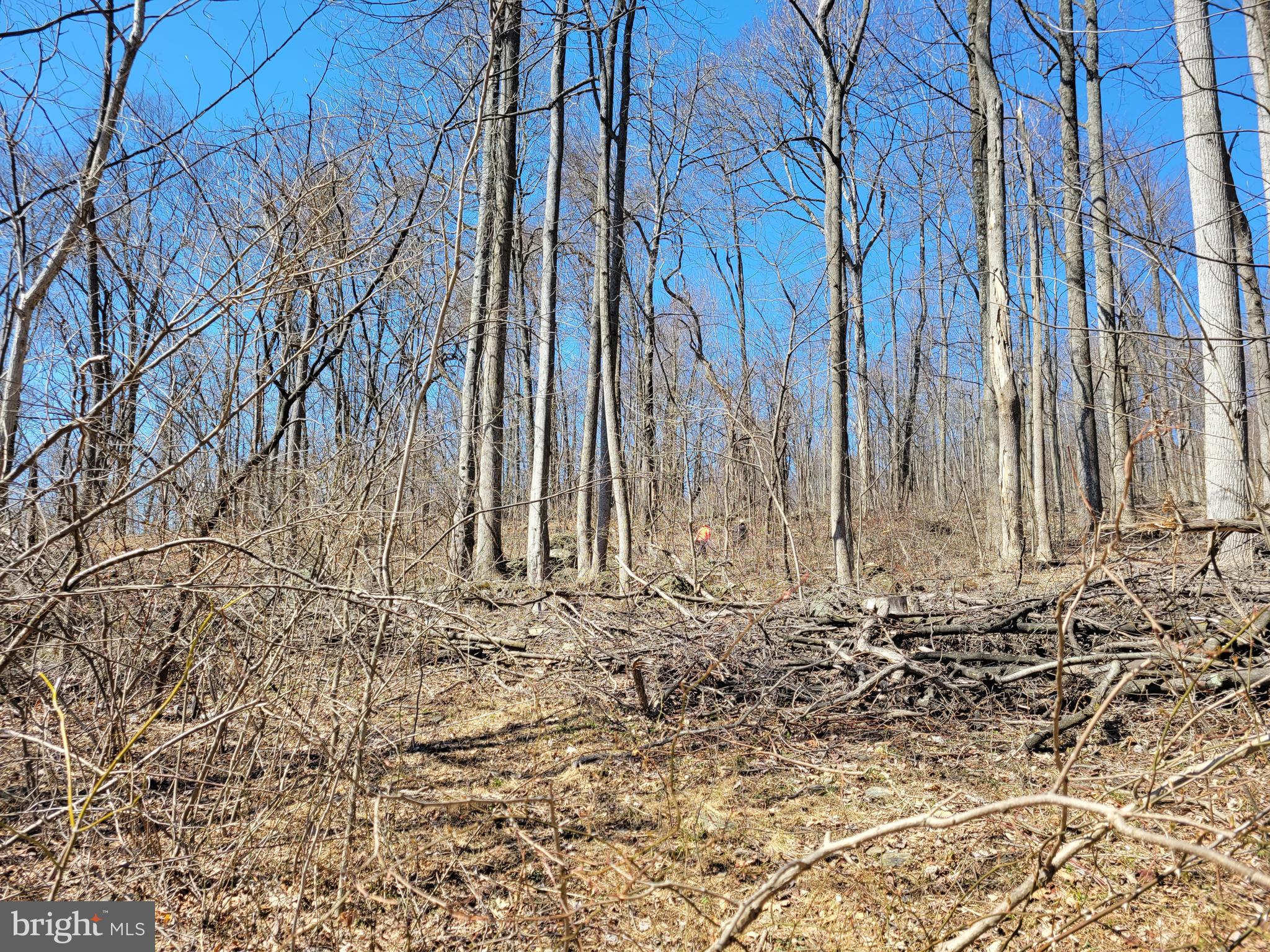 246-68 Middle Point Road Myersville, MD 21773 - Photo 5 of 5