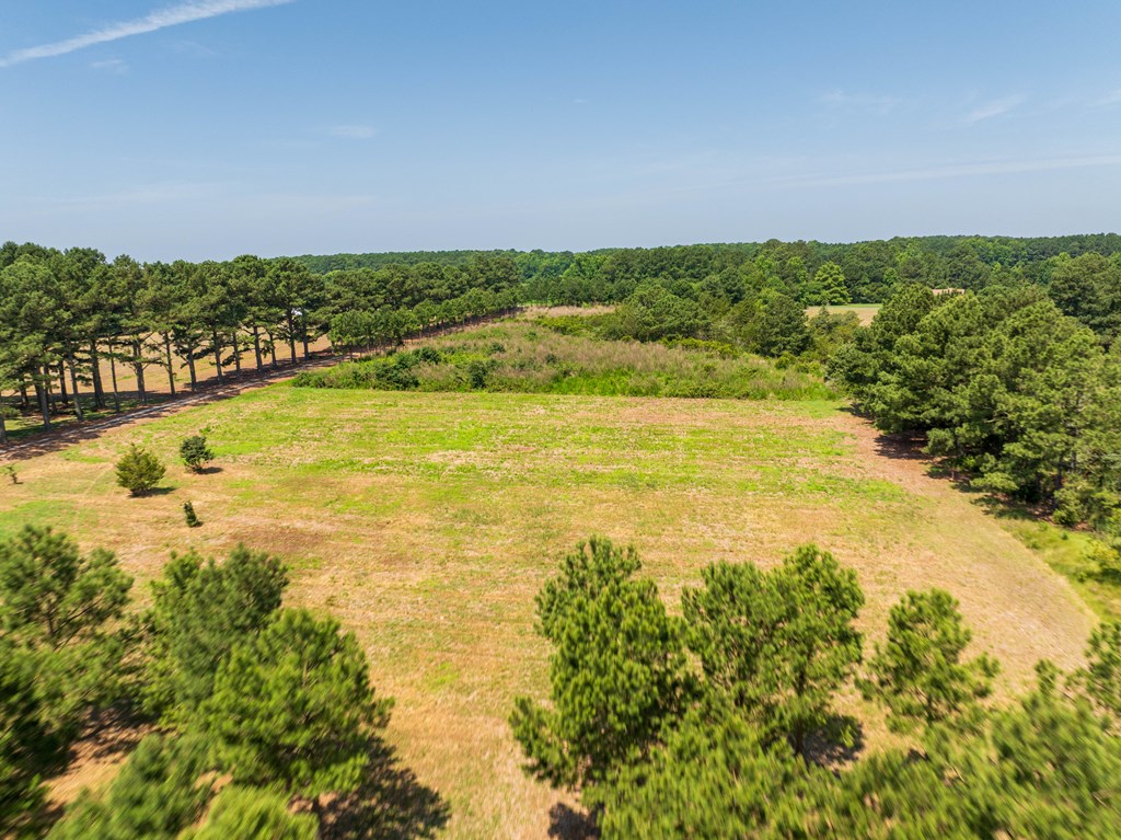 0 Bunting Point Road Melfa, VA 23410 - Photo 15 of 17