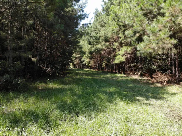 $490,682 | Tbd Tbd Old Buckhead Road, Branchville, SC 29432