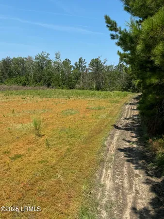 $490,682 | Tbd Tbd Old Buckhead Road, Branchville, SC 29432